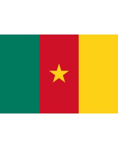 Cameroon flag sticker 