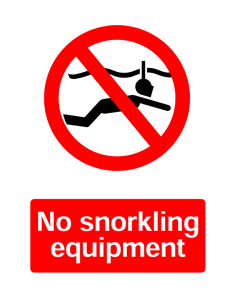 No Ladders