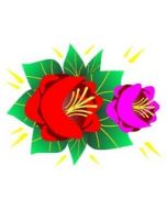 Canal Rose Design 16