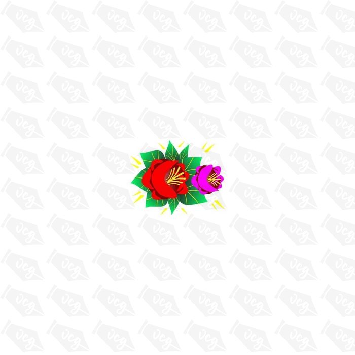 Canal Rose Design 16