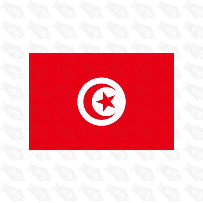 Tunisia flag sticker