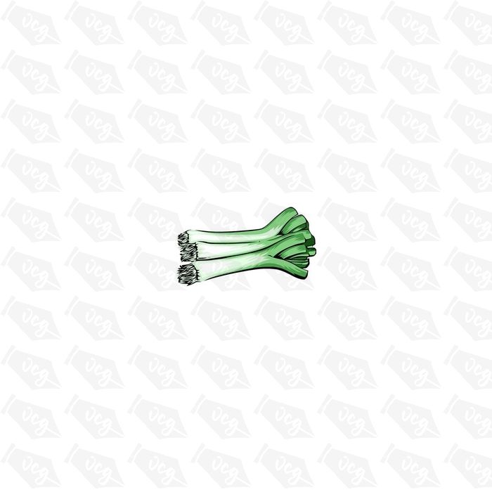Welsh Leek Sticker